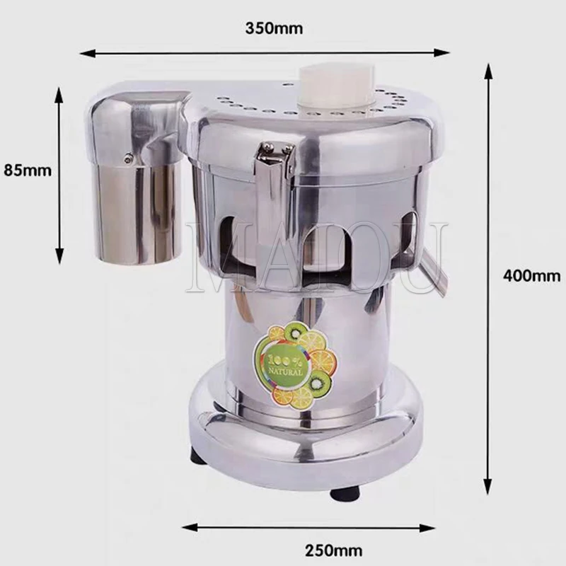 Commercial Industrial Cold Press Juicer Machine Carrot Fruit Juice Extractor