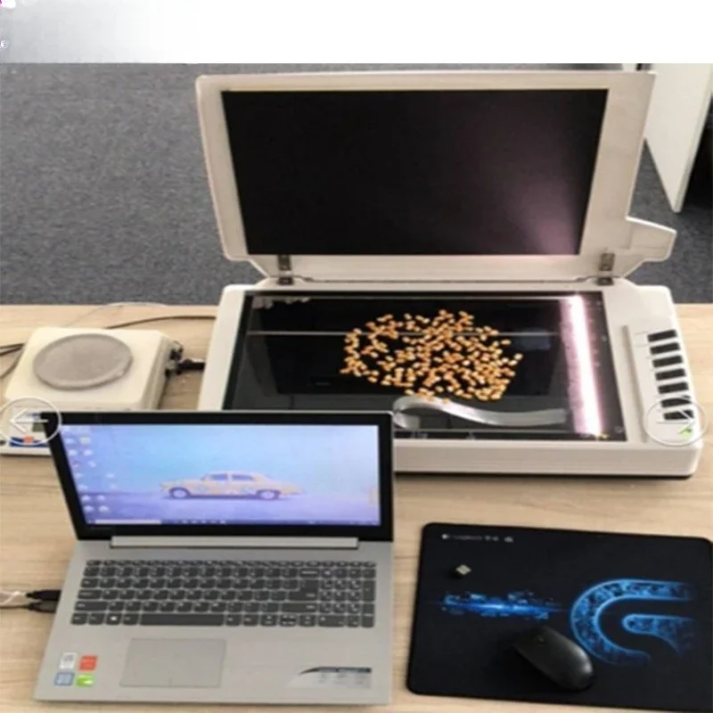 Maize grain and ear seed scanning tester Bies-LBKZ-1