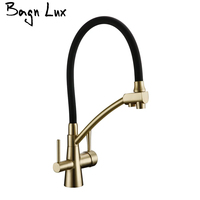 Pull Out Kitchen Faucet Double Handle Single Hole Mixer Tap Hot And Cold With Filter Water Brushed Gold Alba Black