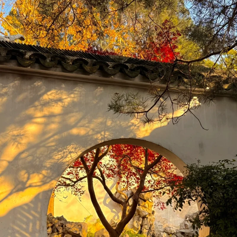 

GEPRC GEP-TAKER G4 35A AIO Flight Control - 170 МГц G473 Основный передатчик 2-4S для FPV Racing RC Tools