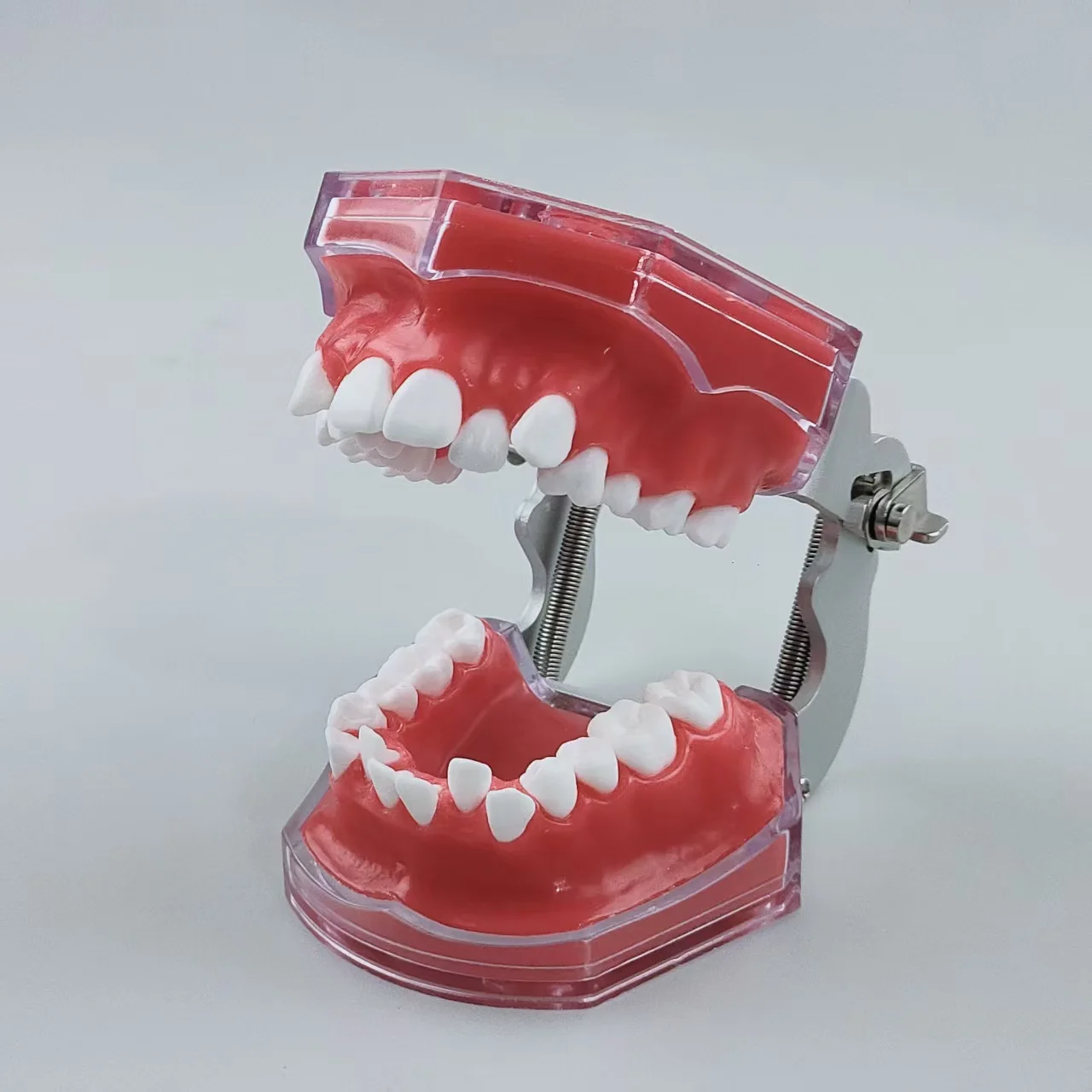 

Dental Orthodontic Model With Braces Brackets Arch Wire Typodont Dentistry Demonstration Model For Dentist Practice Study Teach