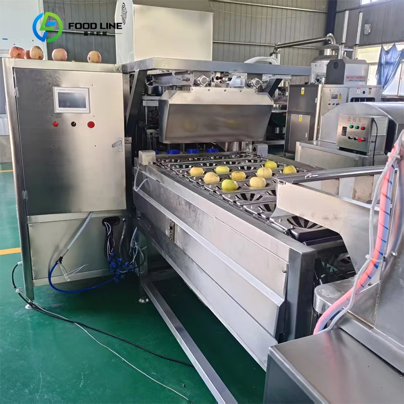 Fast Speed Cherry Stone Removing Machine Apricot Seeds Separating Machine FL Customized