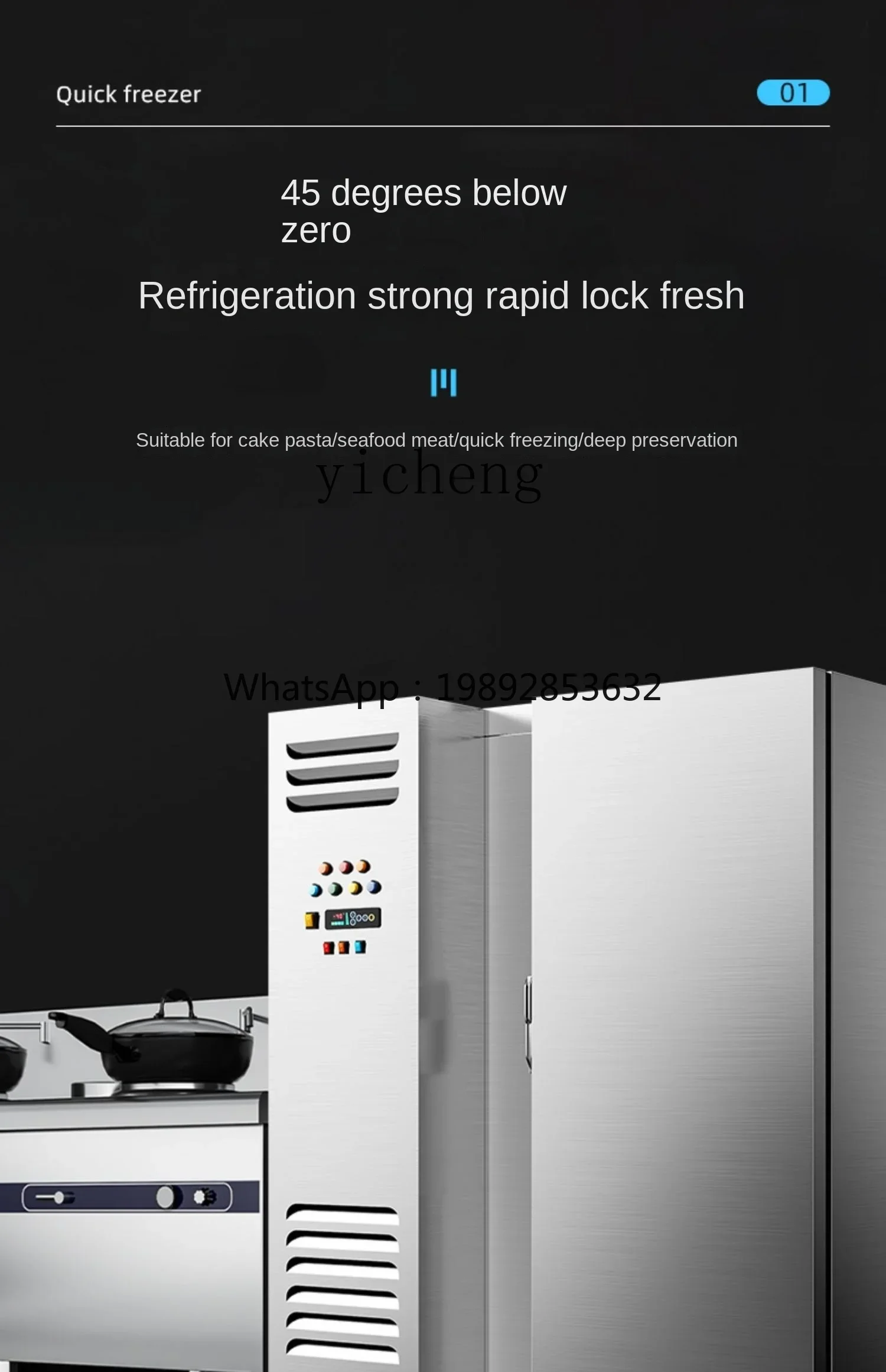 

Fast Frozen Refrigerator Frozen Freezer Sea Cucumber Steamed Stuffed Bun Mousse Strip Cabinet Low Temperature
