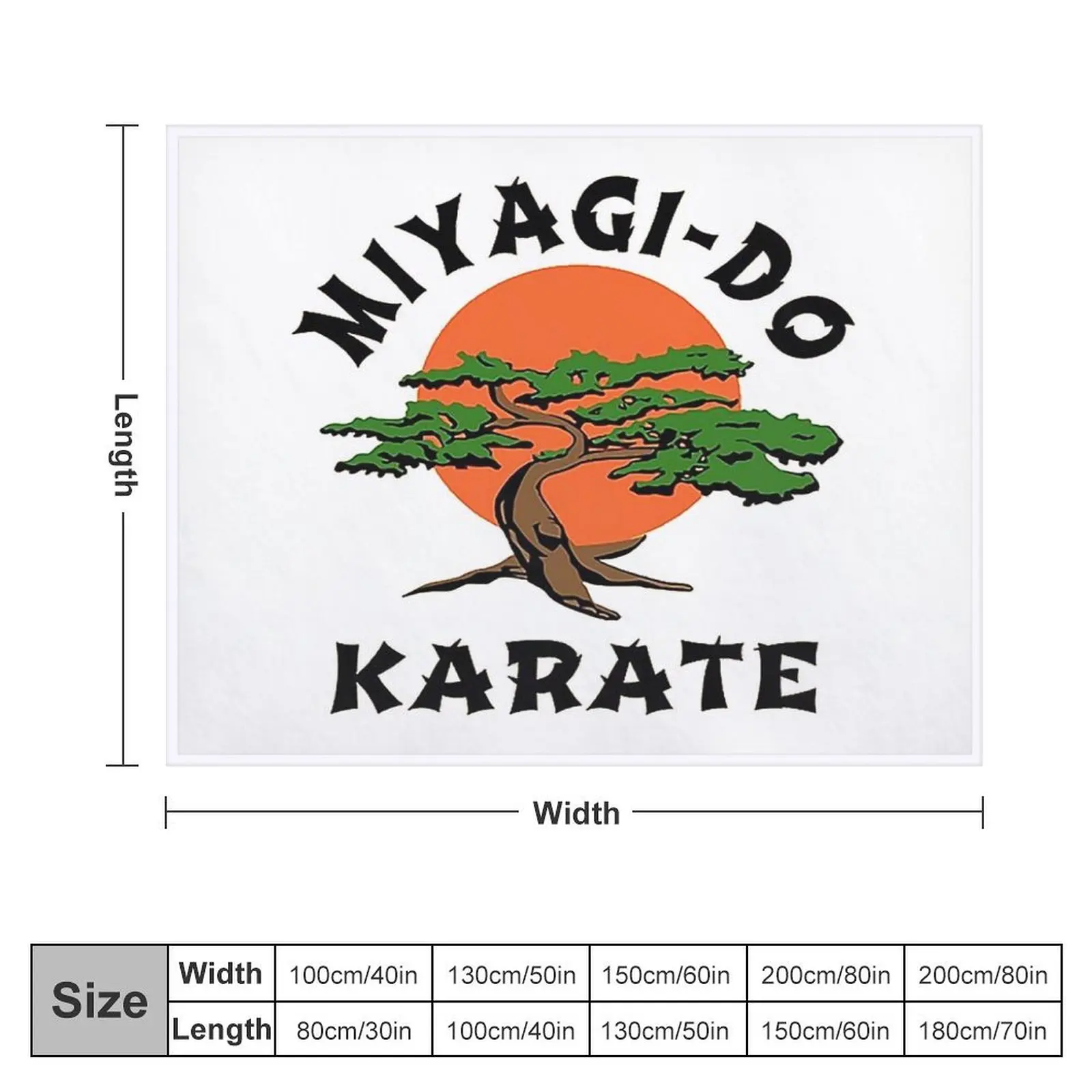 Miyagi do karate Throw Blanket Decorative Throw Thin Hairys Plush Blankets