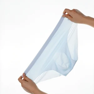 5 Paare/viele Seidenunterwäsche Herreneis Sommer transparenter Sex mit sexischem Trocknen auf atmungsaktives Mode Ultra-Fine-Höschen 10 Hauptverkäufe Mens Cueca transparent - №9