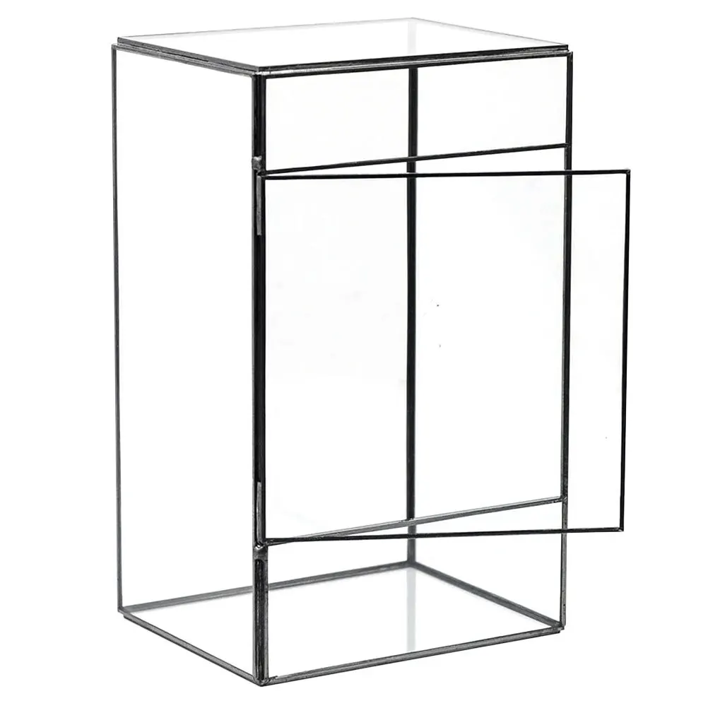 

Mini Glass Terrarium Container for Indoor Plants Tiny Landscape Display Holder Transparent Planter Box Natural Home Office