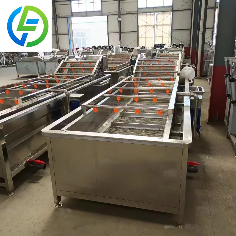 Customized Leafy Equipment Vegetable and Air Drying Line Apple Potato Tomato Bubble Cleaning Machine