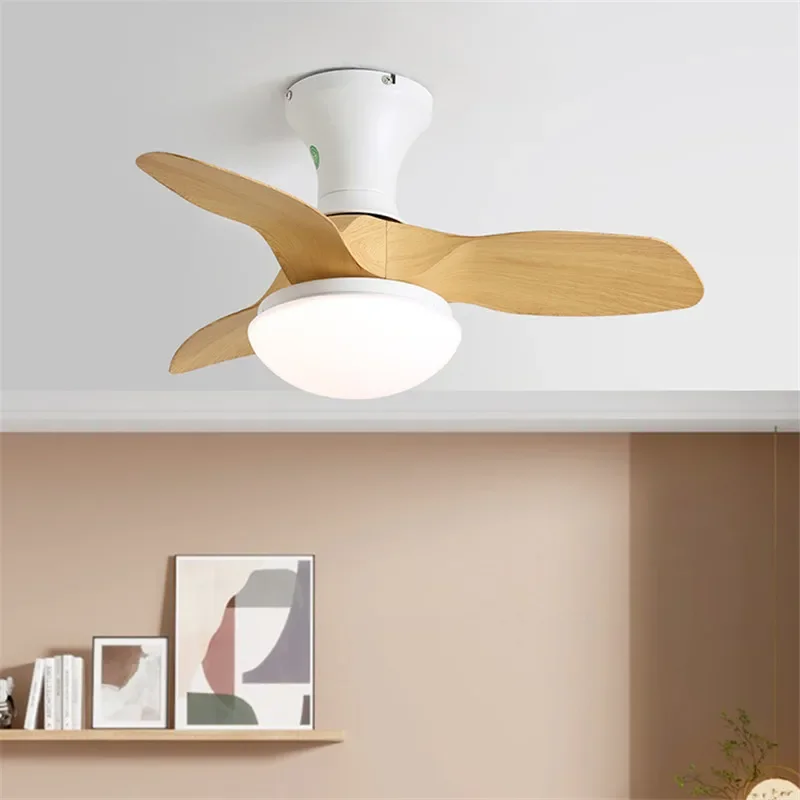 TEMOU Modern Fan Light LED Luxury Living Room Restaurant Bedroom Children's Room Ceiling Fan Light Remote Electric Fan Light