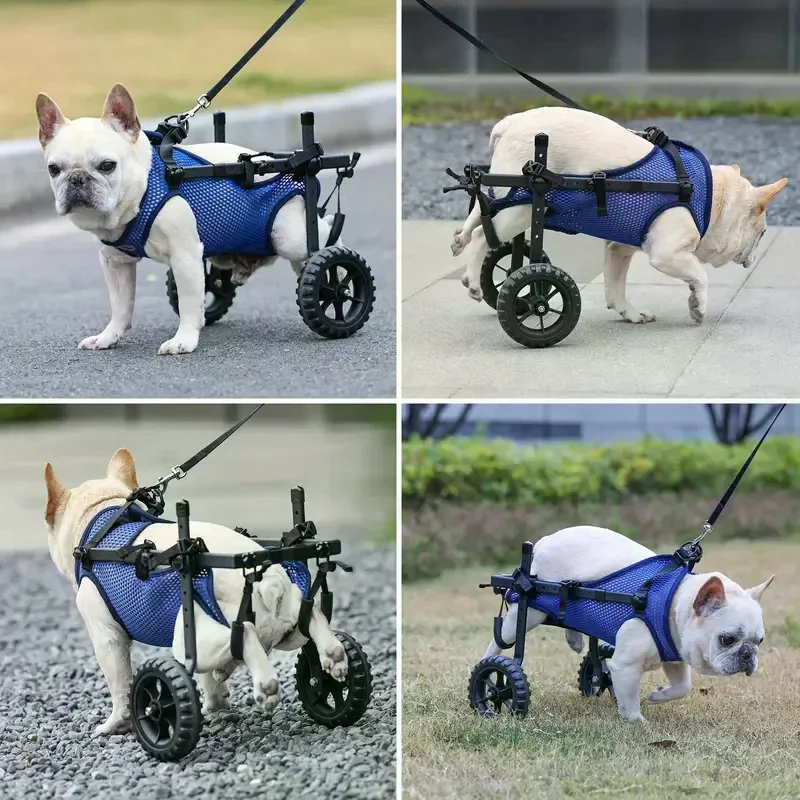Cadeira de rodas ajustável para cães pequenos, para pernas traseiras, animais de estimação com deficiência, cinta de mobilidade para animais de estimação pequenos, reabilitação de membros anteriores mais velhos