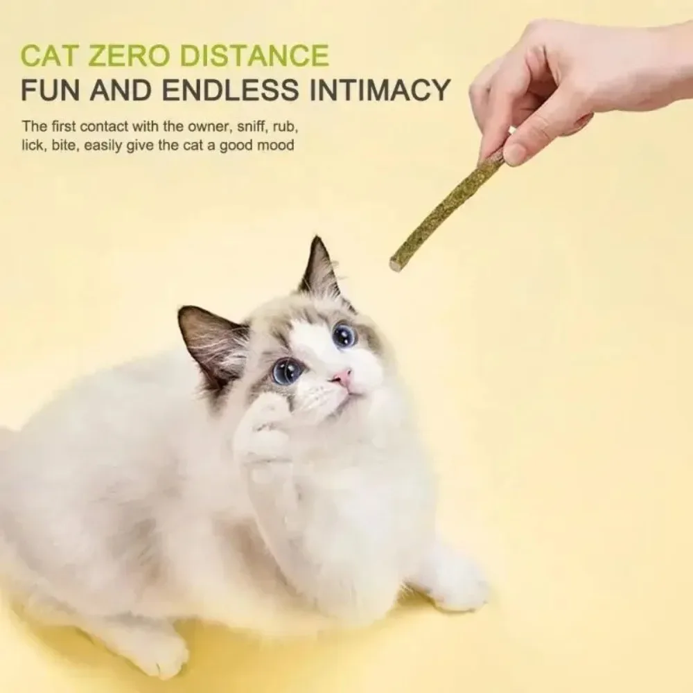 6pcs Natural Matatabi Cat Stick Mint Caught Bite Excited Rods Supply Cat Toys NewSilvervine for Cat Teeth Cleaning Treating Pet