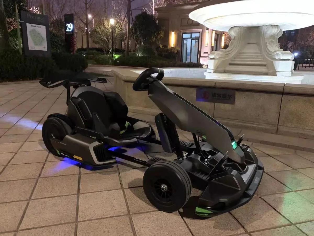 2025 عربة الذهاب الكهربائية الاحترافية عالية الجودة للبالغين للبيع #3