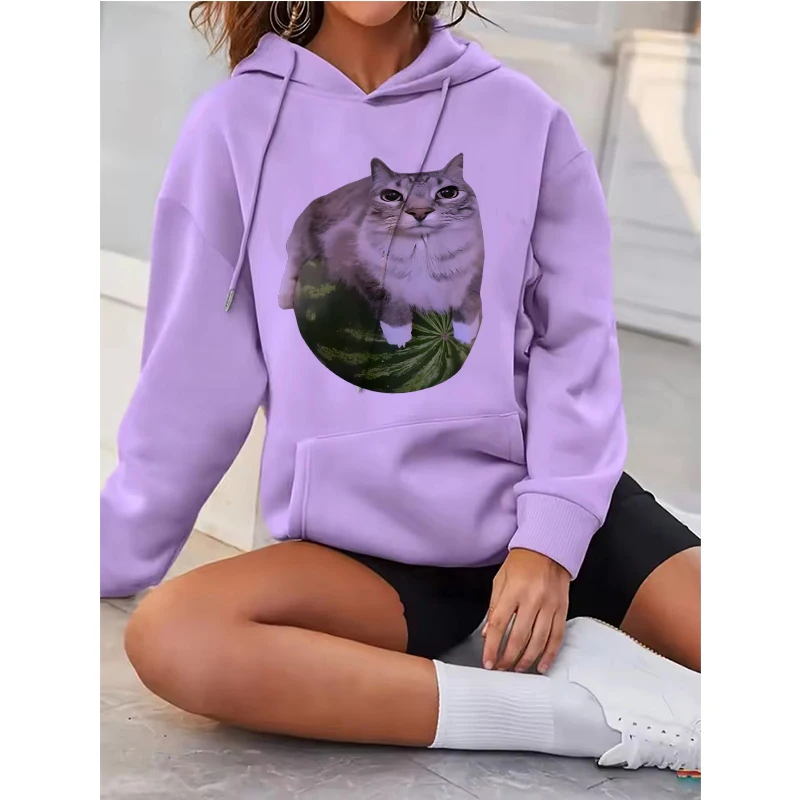 

Толстовки с принтом «Симпатичный арбузный кот» и «Глупый кот», повседневные толстовки 90-х годов с графическим рисунком Y2k, женская уличная одежда в готическом стиле с капюшоном