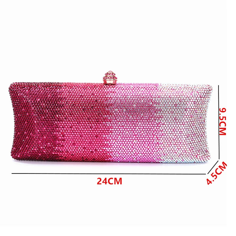Sac à Main de Soirée Femme Luxe : Motif Libellule Strass Éblouissant, Sac Festif Élégant à Coordonner avec Chaussures