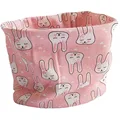 pink rabbit