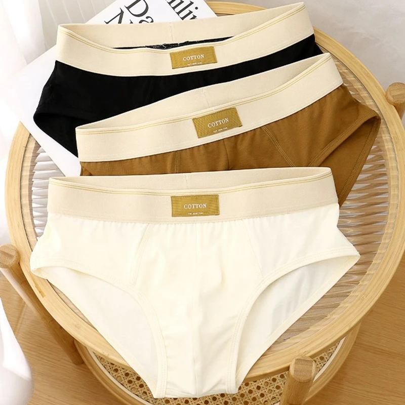 2 Pcs/Lot Men's Sexy Cotton Briefs Comfortable Underpants Breathable Underwear Lingerie Shorts Panties