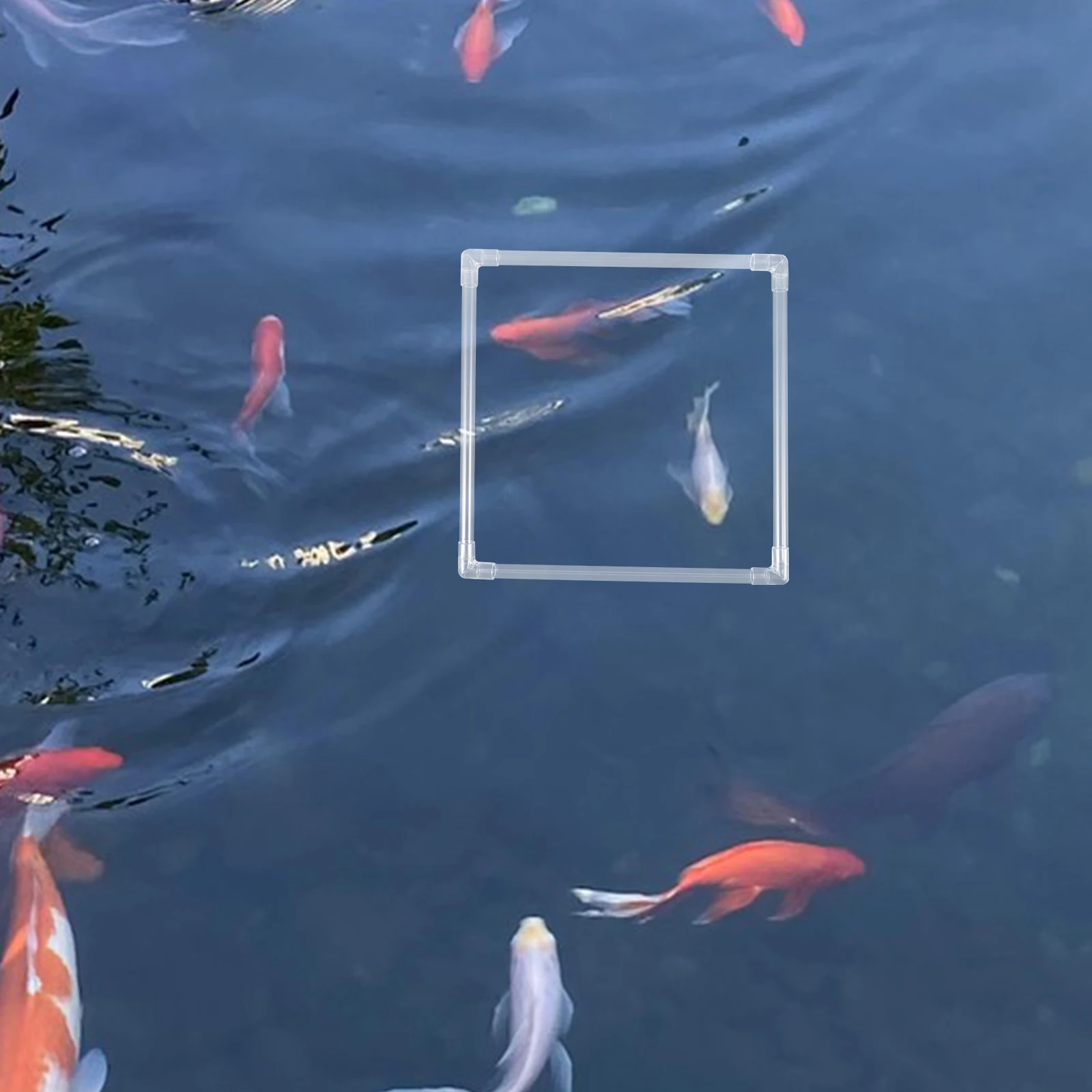 

Creative Ornamental Tank Sturdy Pc Duckweed Aquarium Plants Rings Feeding Isolation Accessories Fish Tank Floating Plant Ring