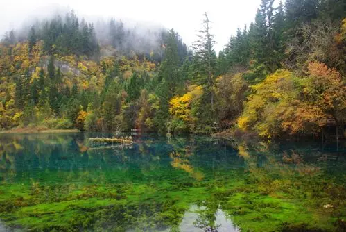 

2025 New High Power laser Epilator Ice Platinum Diode Laser PRO Permanent Hair Remover Ice Hair Removal Diode Laser