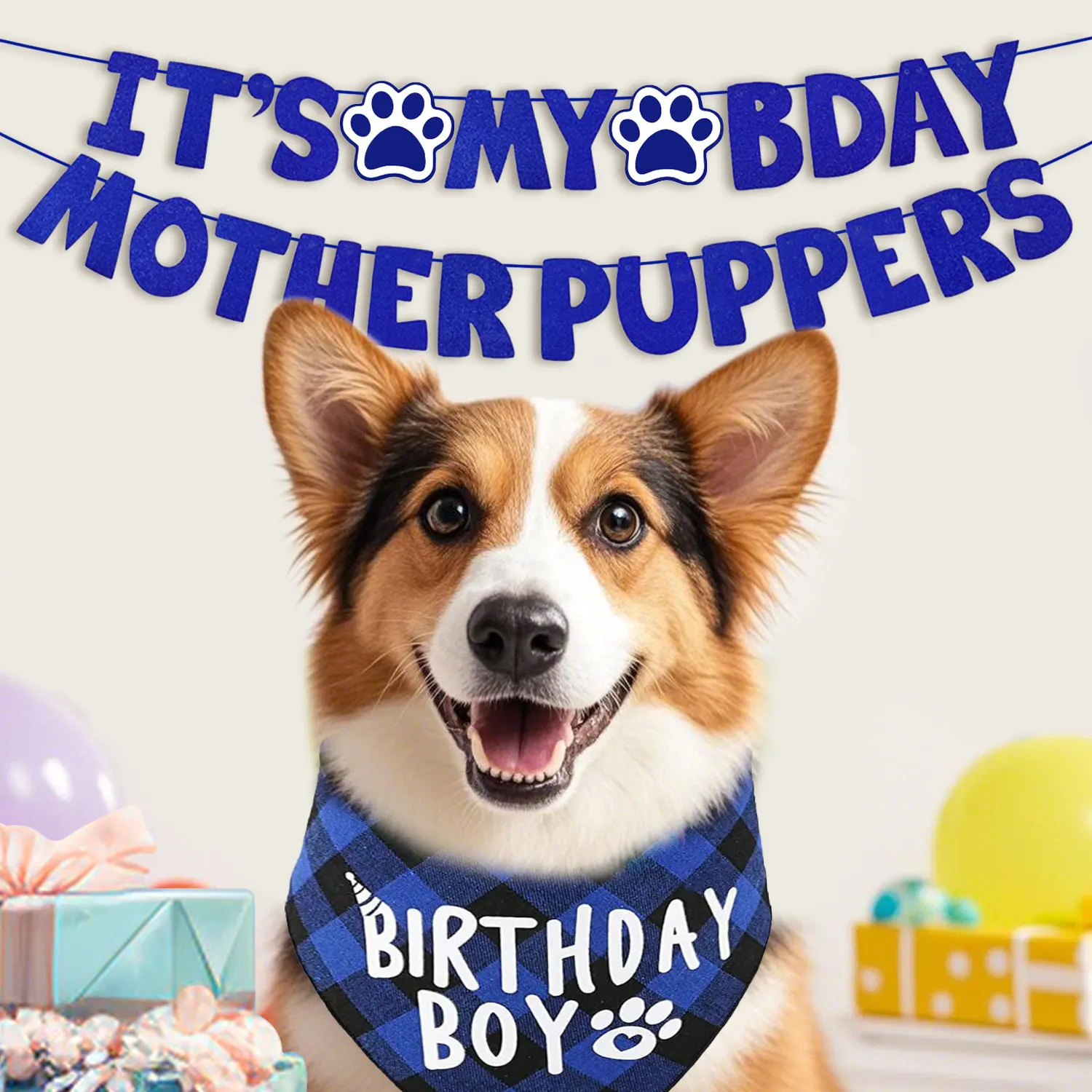 Dog Birthday Party Kit 6
