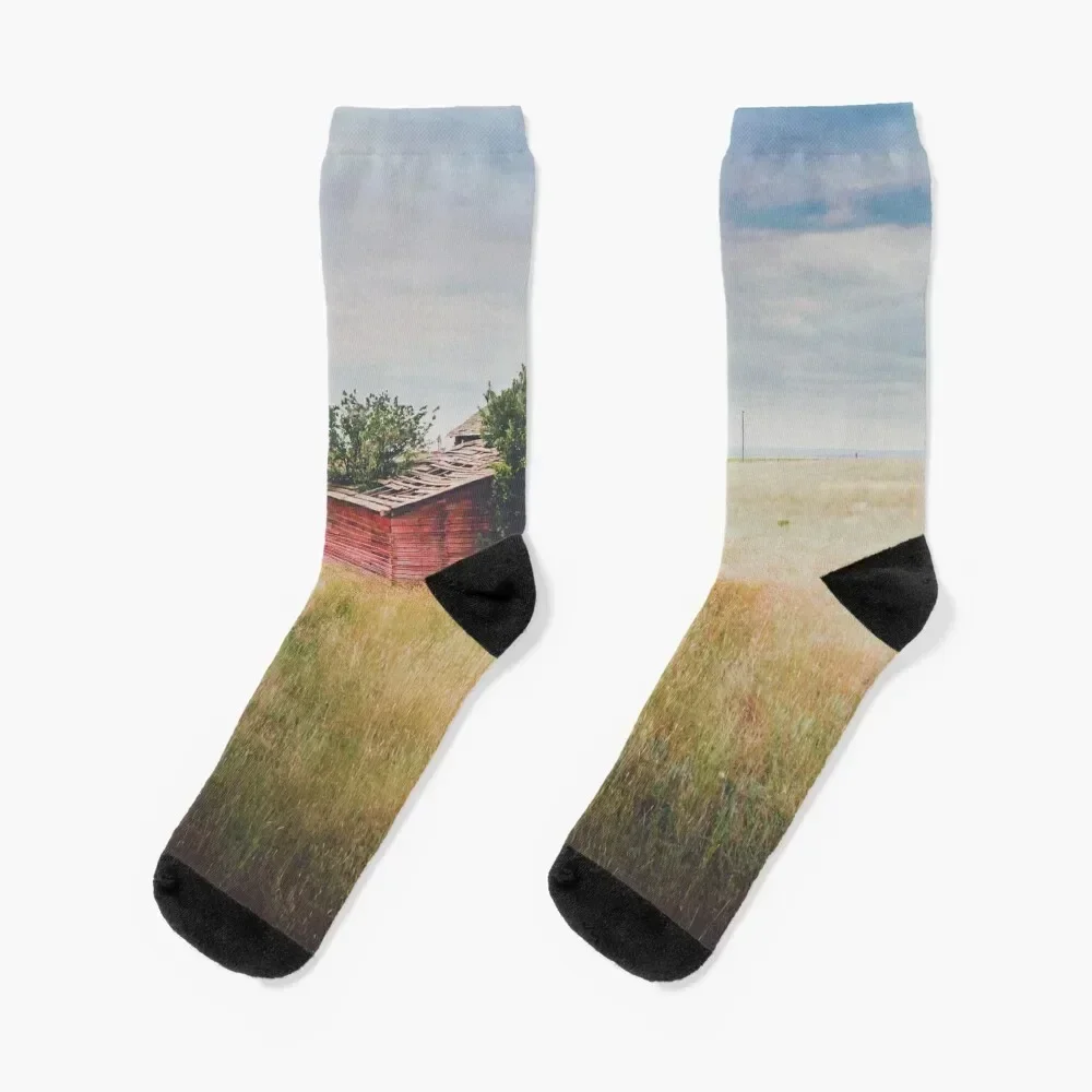 

Reclaimed Socks snow Novelties colored Men Socks Women's