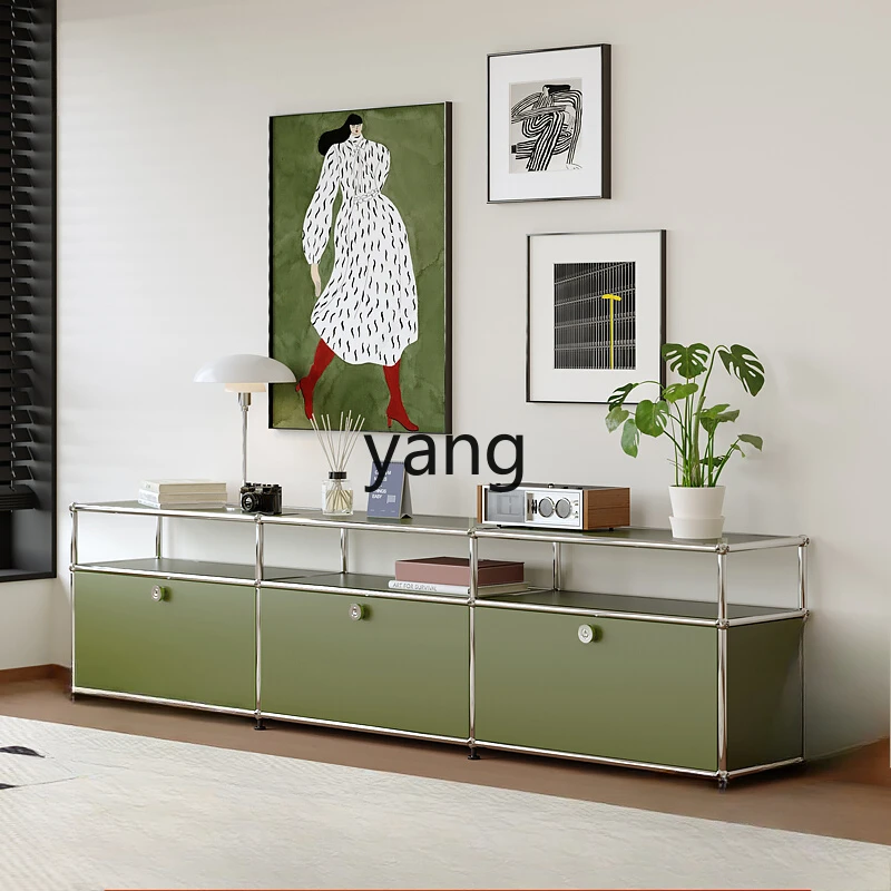 LHH，  TV cabinet Modern simple living room Stainless steel medieval storage locker