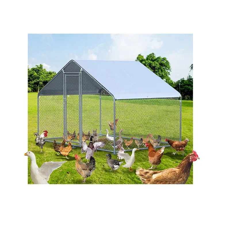 Chicken Cage Price For Broilers And Baby Chicks In Kenya Used For Chickens