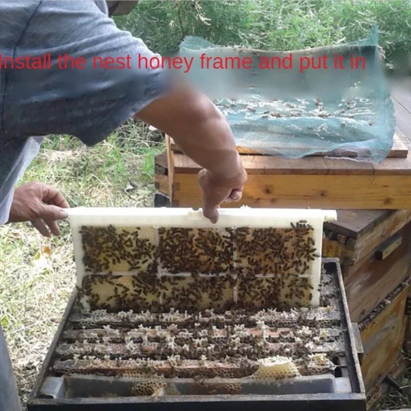 Picture 7: 1 Plastic Frame with 6 Clear Transparent Cassette Boxes Complete Combhoney Cassette Kit for Clear Comb Honey Storage