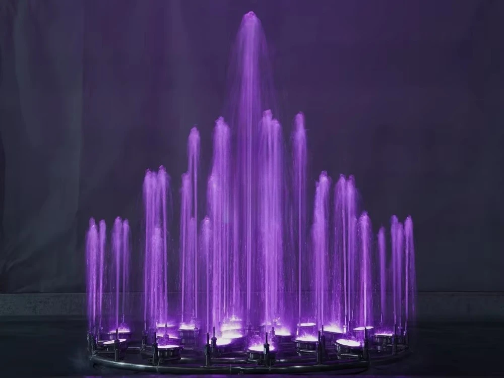 Outdoor Small Garden Mini Musical Fountain Stainless Steel 304 Music/PLC Control LED Water Features Modern Design Davis Fountain