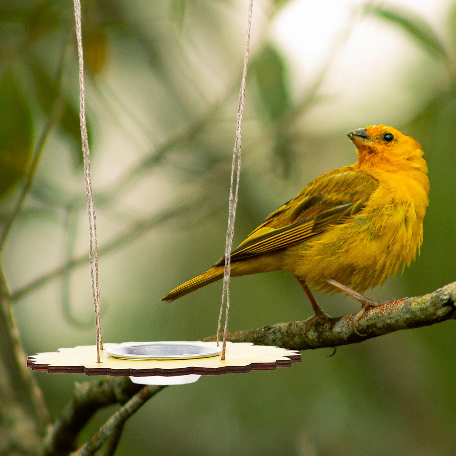 

Hanging Bird Feeder Outdoor Garden Swing Feeders For Backyard Patio Small Bird Feeding Station Fodder Container Yard Decorative