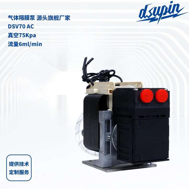 AOLIVIYA AC 220V Miniature Diaphragm Vacuum Pump DSV70 For Gas Sampling And Air Suction Transfer Specialty Tools