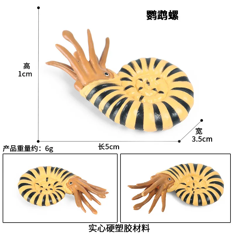 Sea Marine Animals Dolphin Crab Shark Turtle Model Action Figure Figurines Ocean Marine Aquarium Education Toy Children