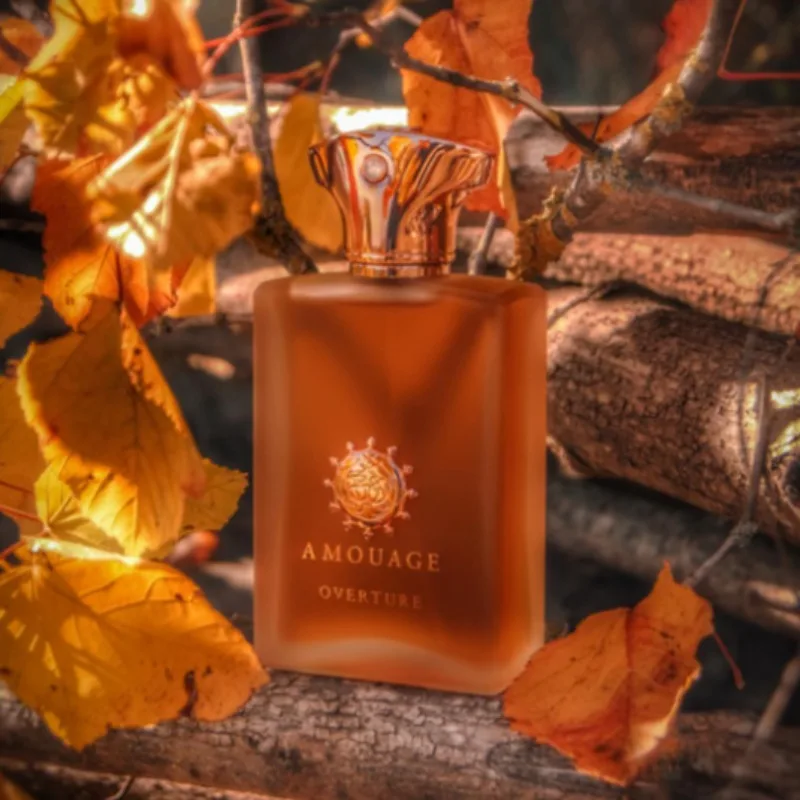 مجموعة عطور وودي للرجال 100 مل تدوم طويلاً، عطر شرقي عود زهري فاخر فاخر، 10 روائح توقيع فريدة من نوعها