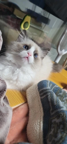 리뷰 사진