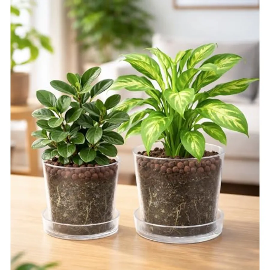 Indoor houseplants planter pot: clear acrylic, 8/10 inch, transparent, deep saucer for bottom watering, drainage holes, orchid