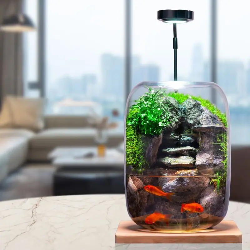 Shishang Qingquan خزان الأسماك المياه المتدفقة نبات حقيقي الطحلب المشهد الصغير زجاجة بيئية مكتب الانتهاء #4