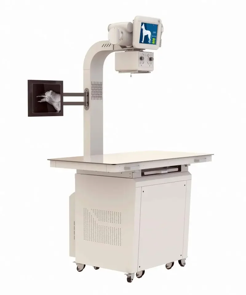 Animal Portable Computed Medical Xray Equipments High Frequency Veterinary Dog DR Detector X Ray Machine Digital Vet X-ray