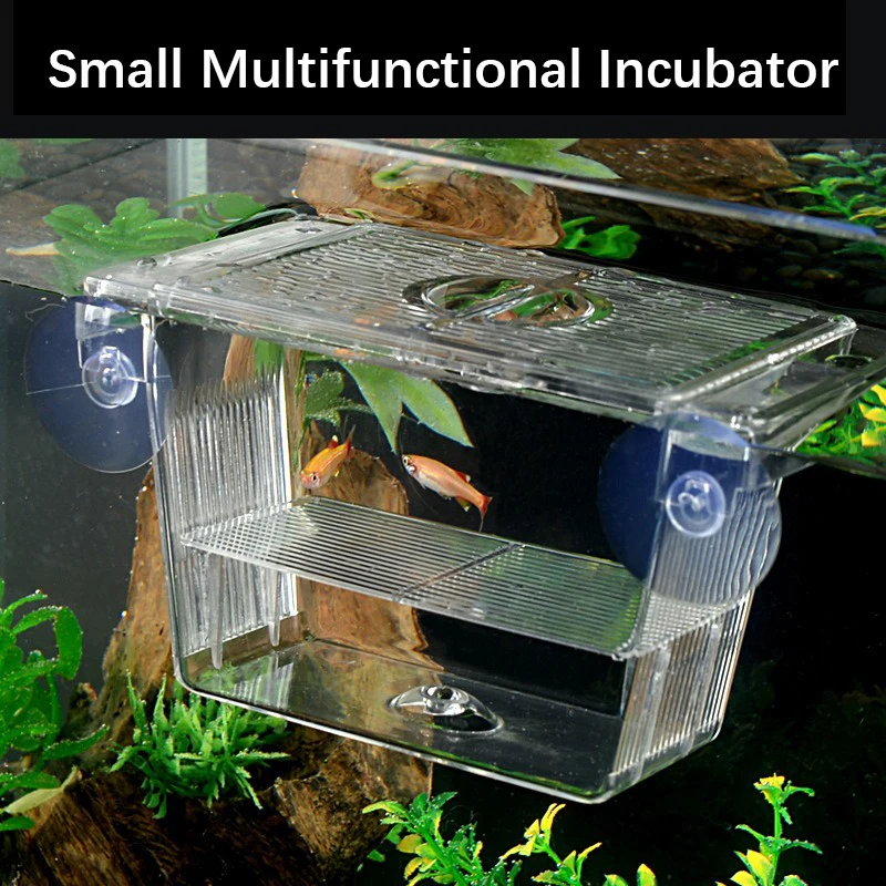 New Aquarium Peacock Fish Incubator Breeding Box Acrylic Isolation Box Tropical Hatchery Spawner Alec Tank Betta Fish Separate
