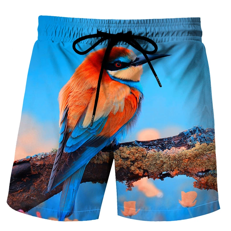 Funny Duck Graphic Beach Shorts for Men 3D Print Animal Board Sports Gym Swim Trunks Swimsuit homme Cool Ice Pants