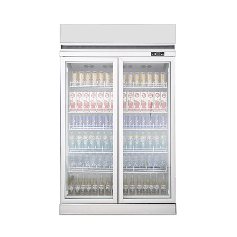 Armário de exibição refrigerado, refrigerador de bebidas e bebidas de supermercado de grande capacidade, armário vertical de porta dupla