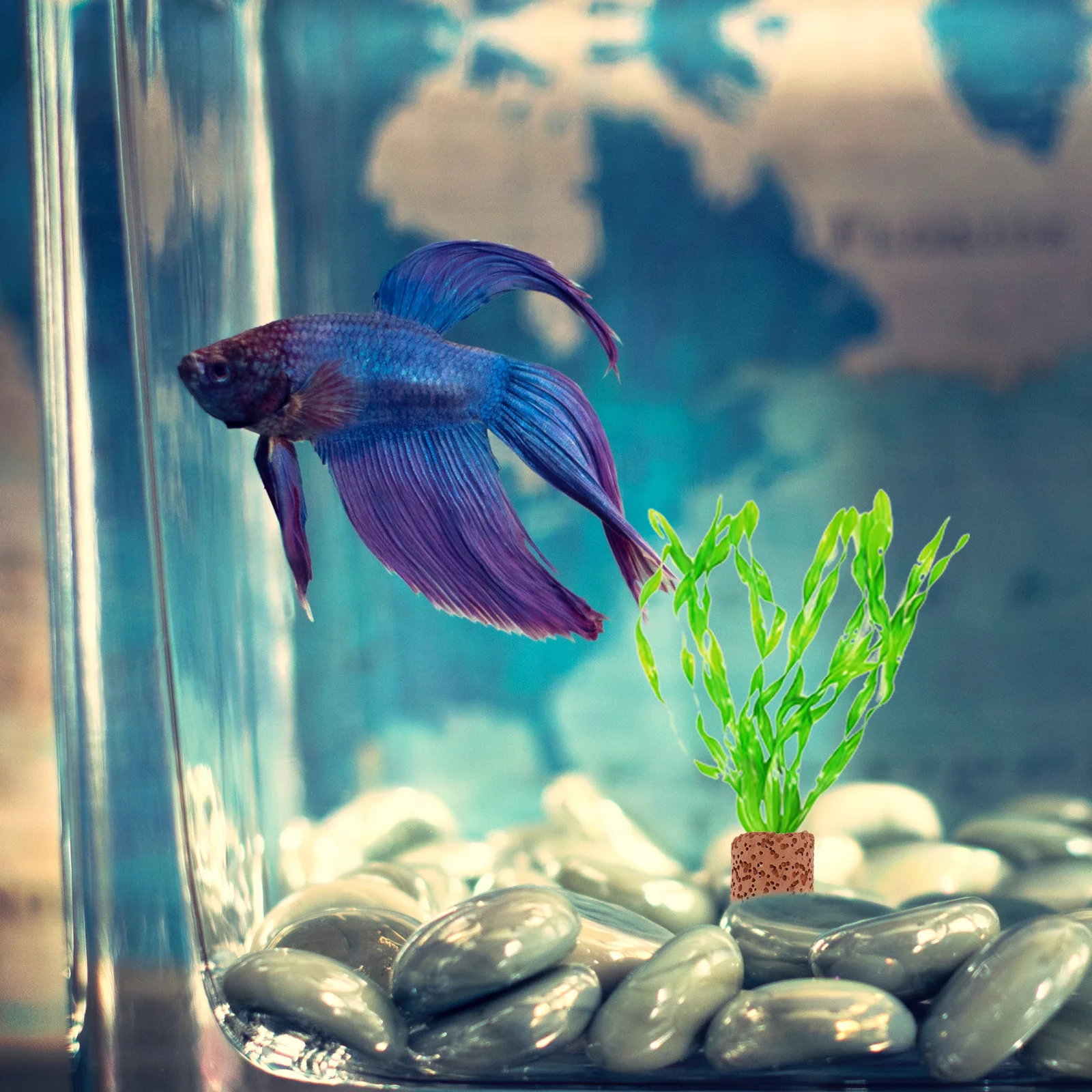 

10pcs Water Fixed Ring Durable Aquarium Plant Holder For Fish Tank Decoration Water Plant Pottery Gravity Ring Aquatic Plants