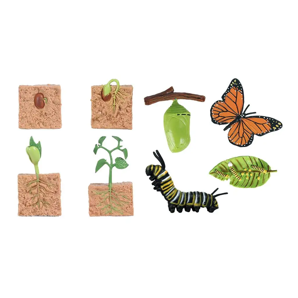 Nature Insects & Plants Growth Figure Kids Pre-school Learning Biology Toys