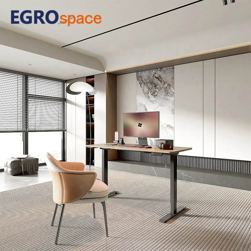 

Height Adjustable Standing High Electric Dual Motors up Lift Dual Motor Office Sit Stand Desk