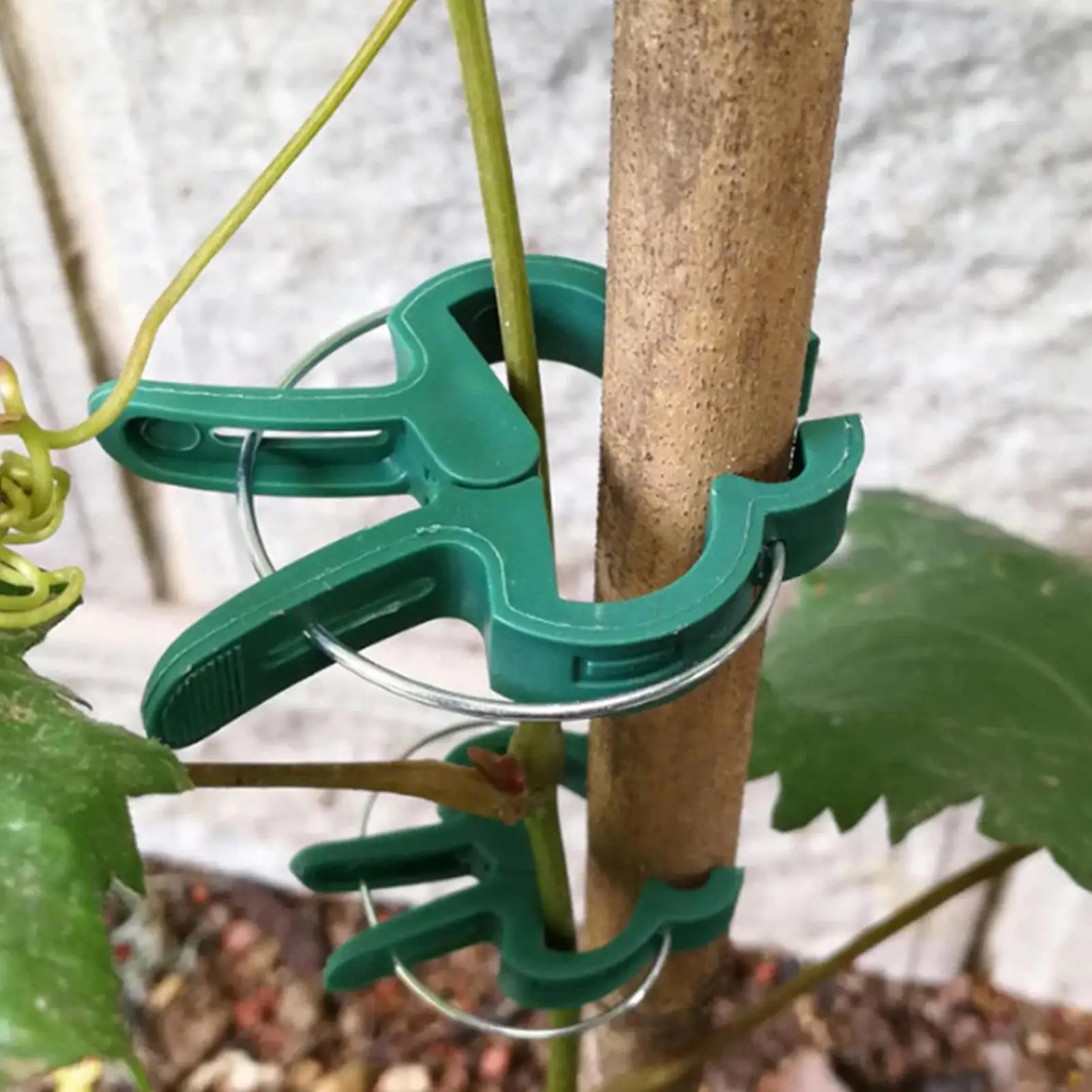 20pcs Reusable Plant Clips Garden Clamps for Tomato Vine Vegetable Stem Support Trellis Greenhouse Flower Pot Gardening Supplies