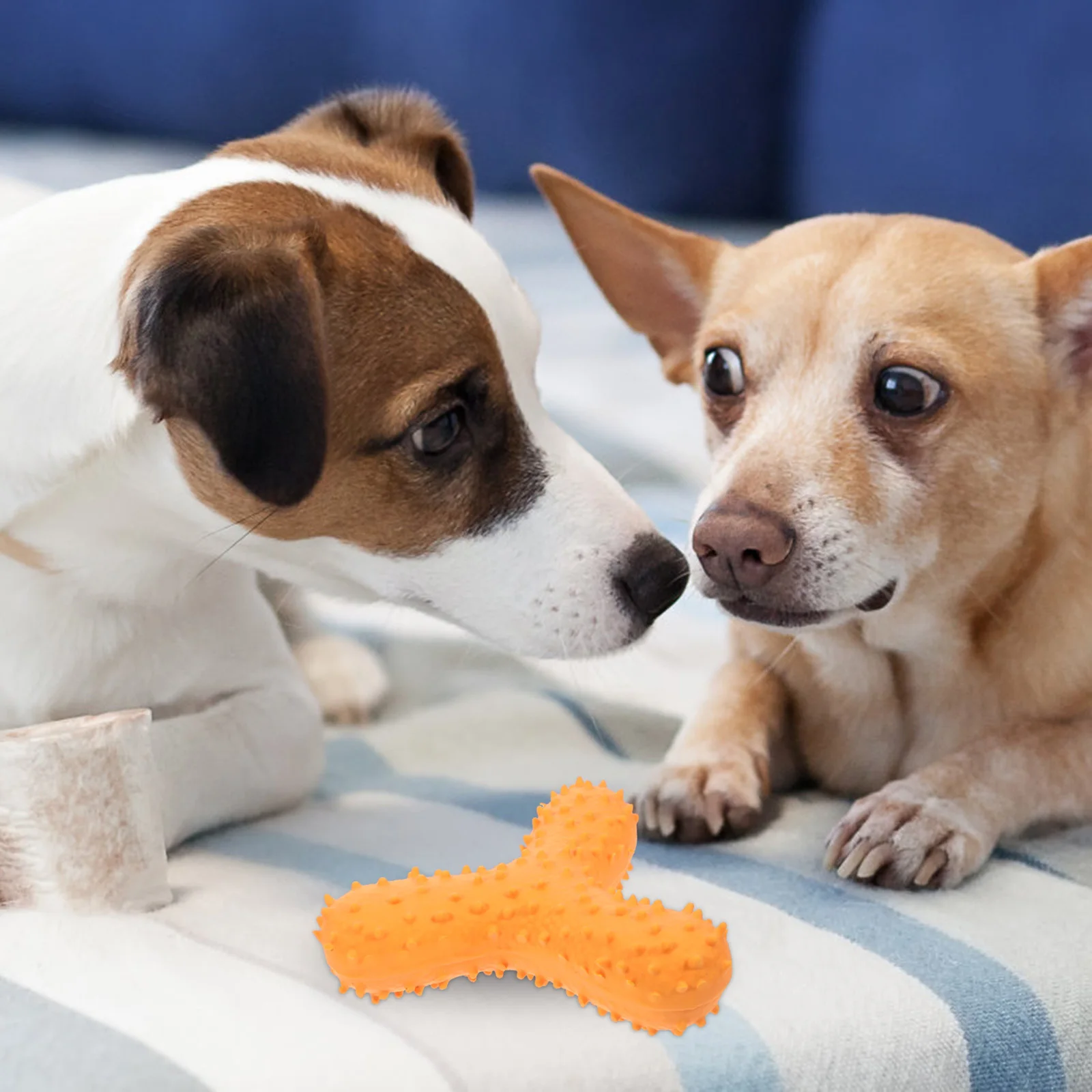 

Dog Squeaky Tpr Interactive Chew Plaything Unique Designed Puppy Sound Chewing Fun for Medium Small Dogs Dog Chew