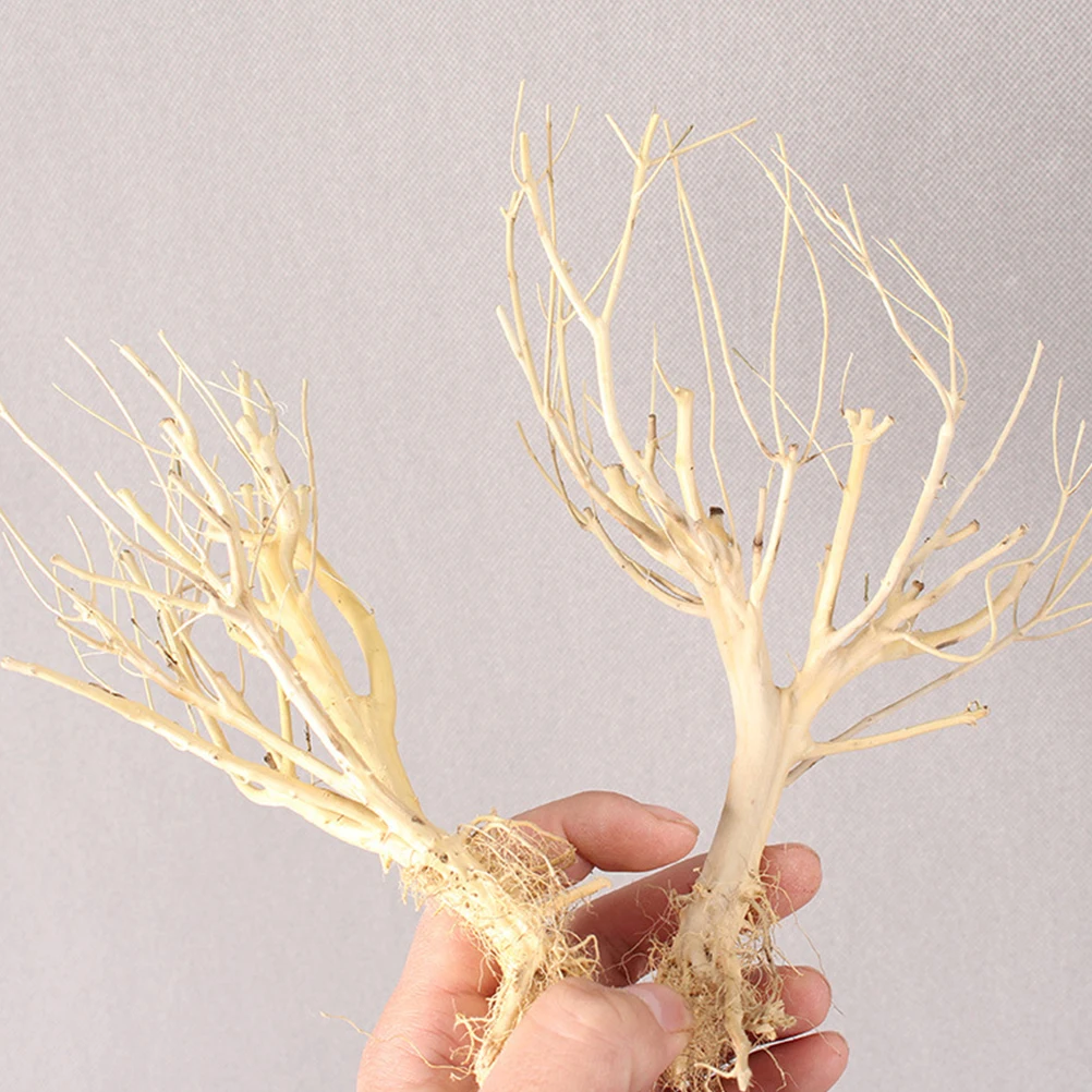 

2Pcs Moss Tree Decorative Twigs Fish Tank Accessory Natural Flavor Aquarium Prop Decorative Twig Aquarium Twig