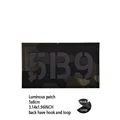 Luminous patch 15