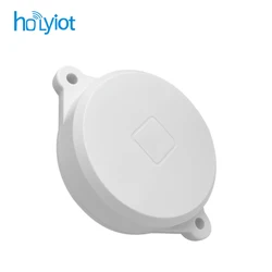 Holyiot nRF52810 beacon tag BLE 5,0 Módulo de bajo consumo de energía ibeacon