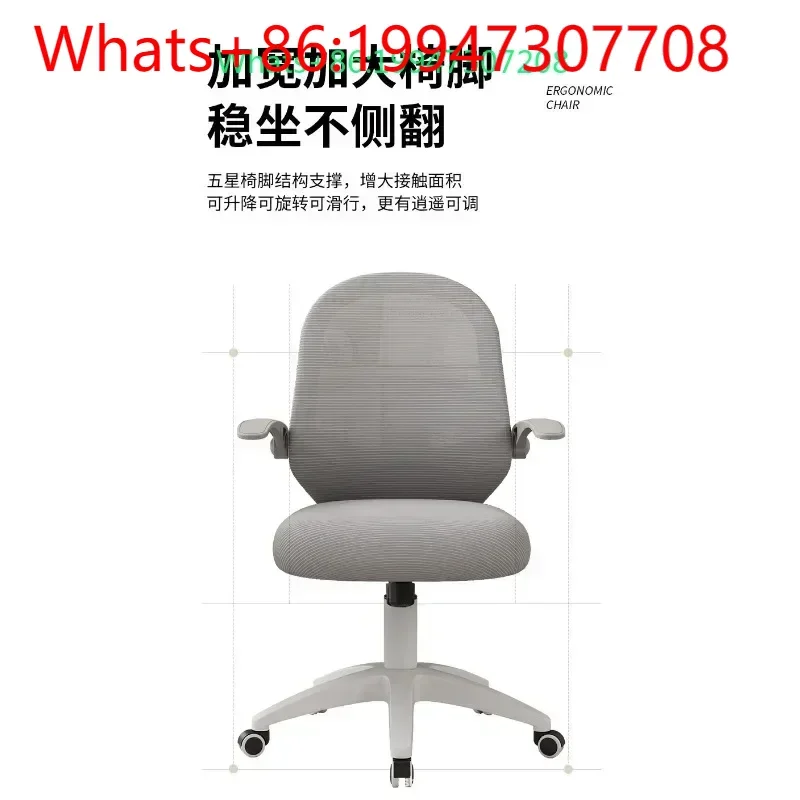 

Ergonomic Mesh Office Chair - Breathable Computer Desk Chair for Long Sitting, Adjustable Lumbar Support & Armrests (Grey/Black)