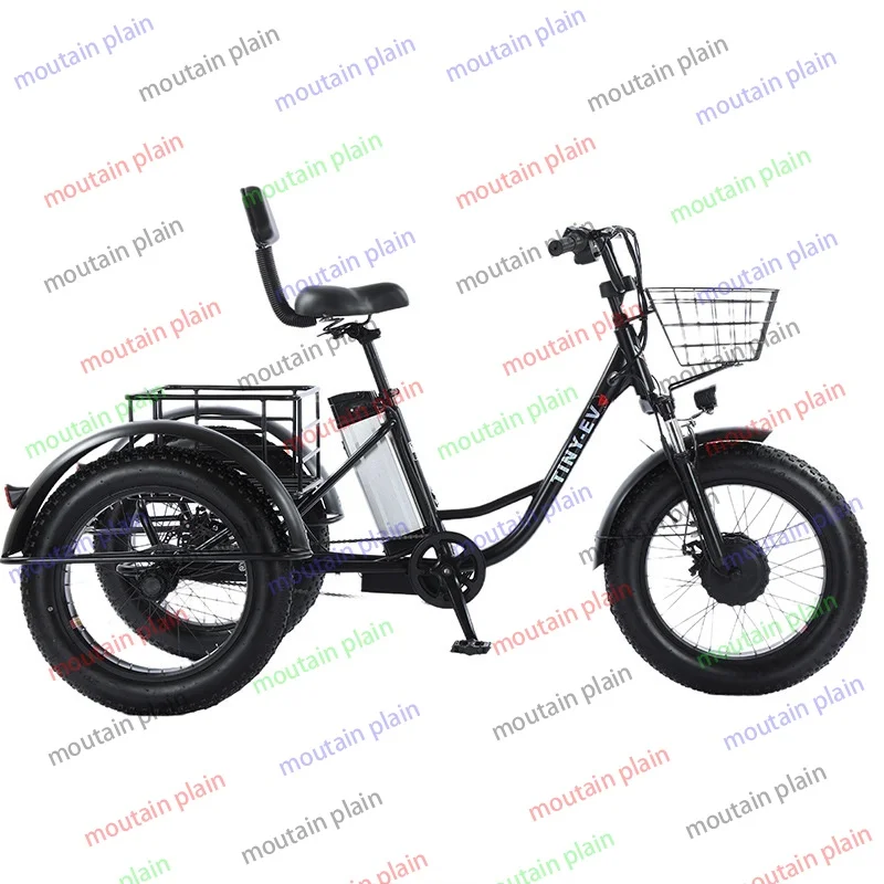 

3 Wheel Electric Bicycle Fatbike Ebike Tire 20 Inch Cargo Bike for Adult Bike Women Men Powerful 48V 500W Surron Cheap Offer