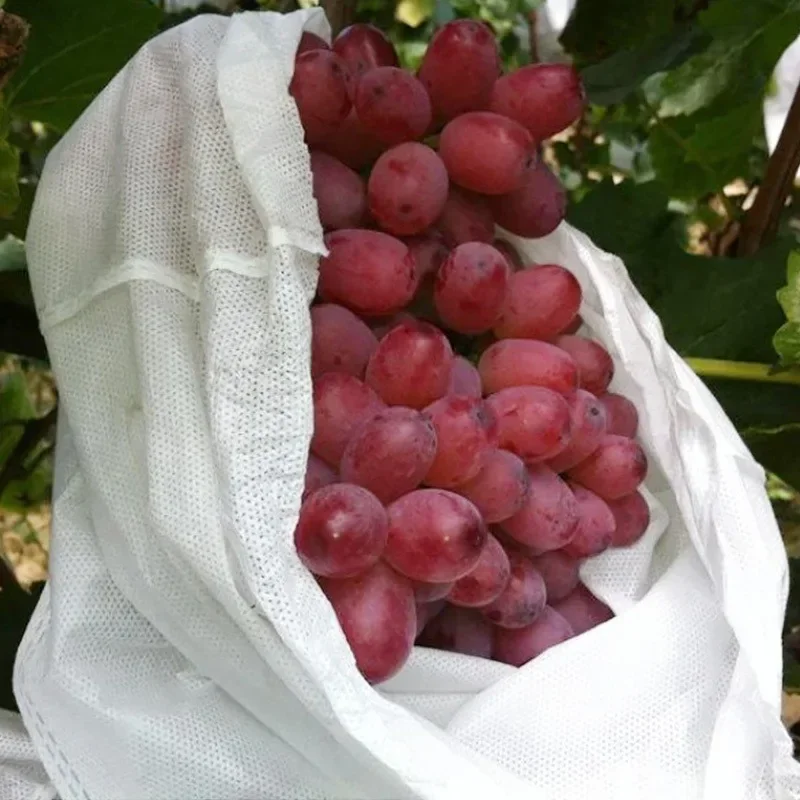 100Pcs Plant Covers Grape Protection Bags for Fruit Vegetable Grapes Mesh Bag Against Insect Pouch Waterproof Pest Control -Bird