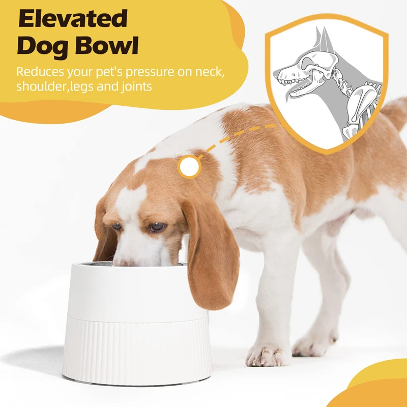 Benepaw Elevated Dog Bowl Durable Raised Stainless Steel Pet Feeder Removable Food Water Puppy Dish For Small Medium Dogs Cats